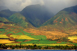 Hawaii